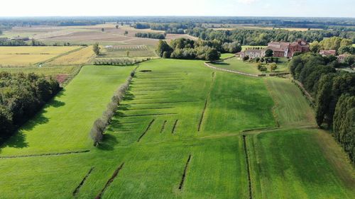 Scenic view of agricultural field