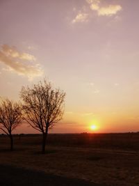 Silhouette bare tree on field against sky during sunset