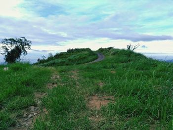 Scenic view of field against sky