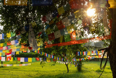 View of flags hanging in park