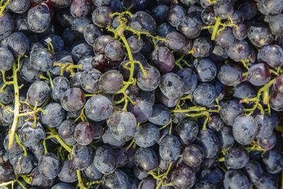 Full frame shot of grapes