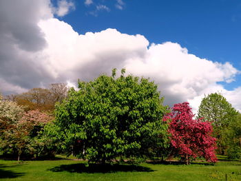 Scenic view of green landscape against cloudy sky