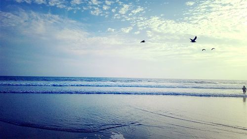 Birds flying over beach against sky