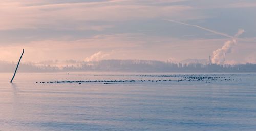 Scenic view of sea during sunset