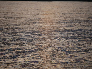 Scenic view of sea