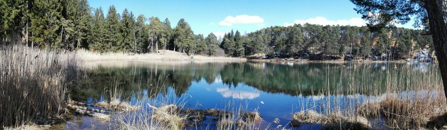 Reflection of trees in lake against sky