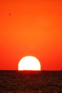 Low angle view of orange sky