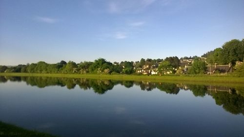 Reflection of trees in calm lake