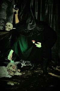 Midsection of woman with horse on wall at night