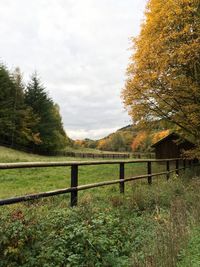 Trees on field against cloudy sky