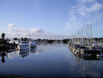 Boats in harbor