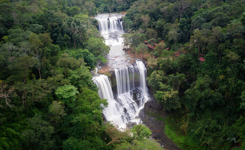 Scenic view of waterfall in forest