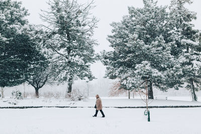 Person on snow covered field against trees. man person walking under snow in park among trees. 
