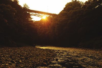 Scenic view of forest against sky at sunset