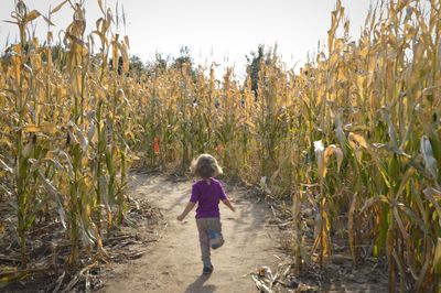 Rear view of girl walking on field