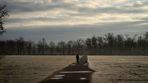 Rear view of people walking on street amidst trees against sky