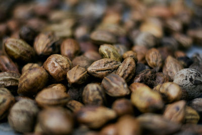 Close-up of beans on table