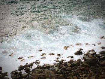 Scenic view of sea waves