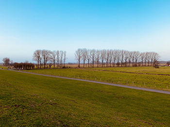 Scenic view of field against clear blue sky