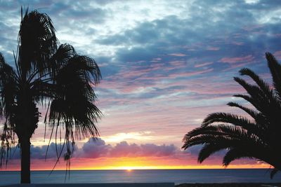 Palm trees on beach against sky at sunset