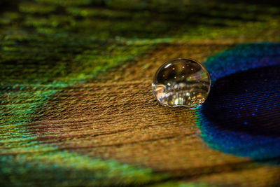 High angle view of wedding rings on wood