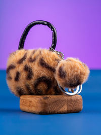 animal