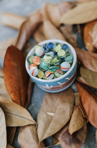 High angle view of marbles in bowl amidst leaves