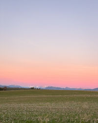 Scenic view of field against clear sky during sunset