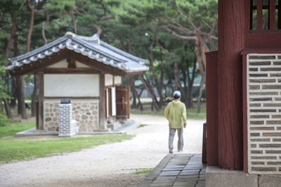 Rear view of man walking on footpath by royal tombs at seonjeongneung