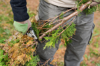 Midsection of man holding plant on field