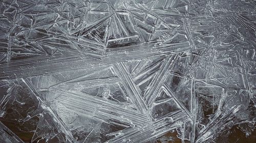 Full frame shot of leaf