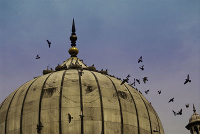 Low angle view of birds flying against sky