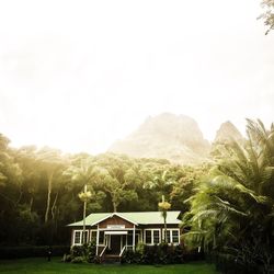 House amidst trees and plants against sky