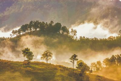 Scenic view of landscape against cloudy sky