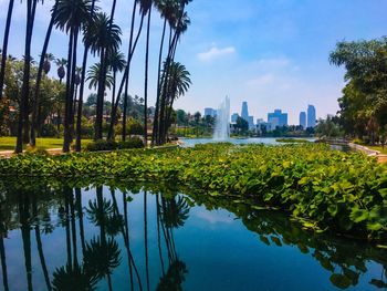 Scenic view of lake with trees in background