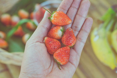 Close-up of hand holding strawberries