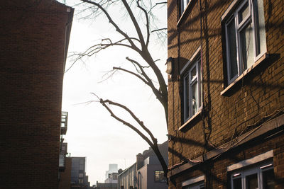 Low angle view of building
