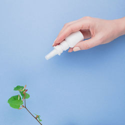 Close-up of hand holding plant against blue background