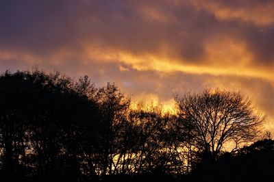 Low angle view of silhouette trees against dramatic sky
