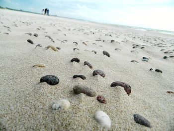 Close-up of sand on beach against sky