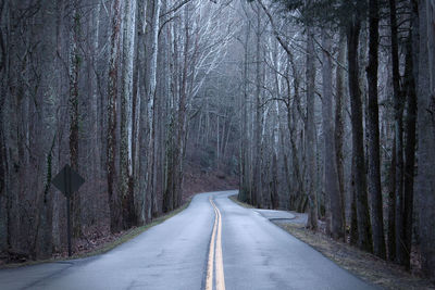 Road amidst bare trees in forest