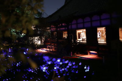 Illuminated building by trees at night