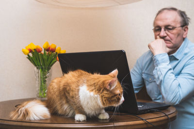 A mature man works online from home. a ginger cat sits near the computer while the owner is working