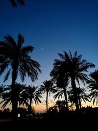 Silhouette palm trees against clear sky at sunset