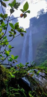 Scenic view of waterfall