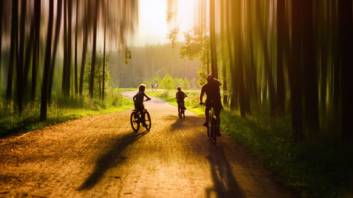 People riding bicycles in forest