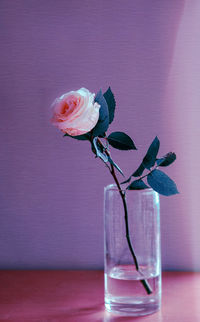 High angle view of a rose in the vase