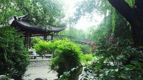 Gazebo in garden