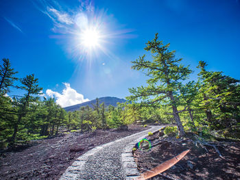 Scenic view of road amidst trees against sky