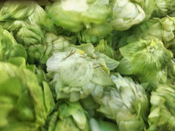 Full frame shot of vegetables for sale